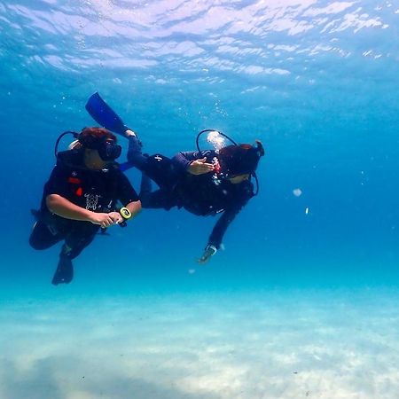 The Dearly Koh Tao Hostel-Padi 5 Star Dive Resort Zewnętrze zdjęcie