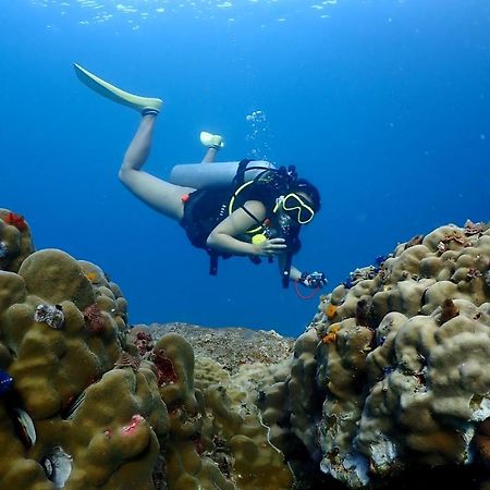 The Dearly Koh Tao Hostel-Padi 5 Star Dive Resort Zewnętrze zdjęcie
