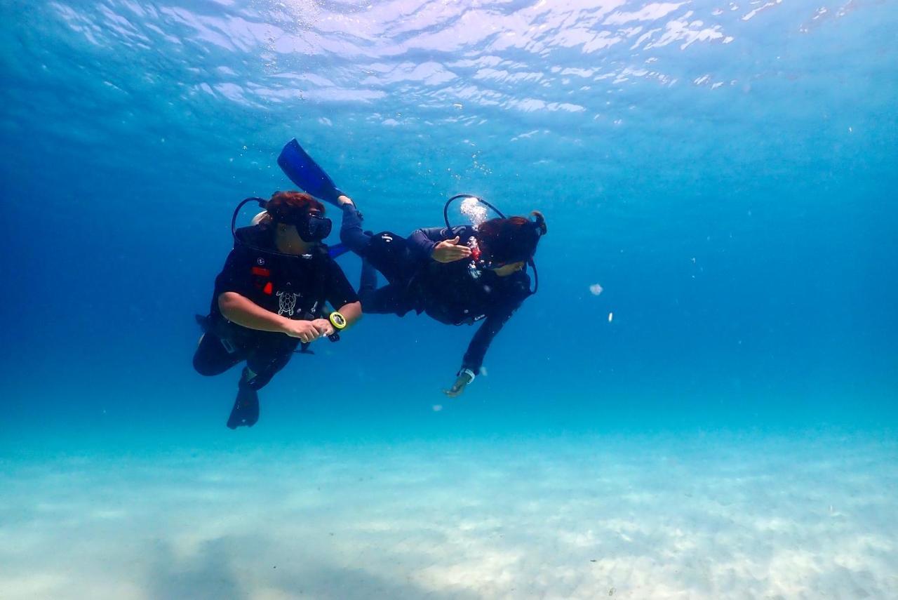 The Dearly Koh Tao Hostel-Padi 5 Star Dive Resort Zewnętrze zdjęcie