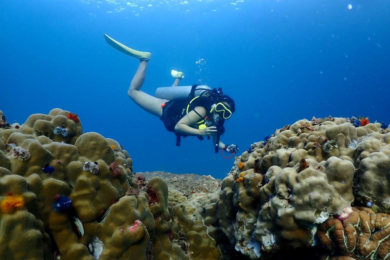 The Dearly Koh Tao Hostel-Padi 5 Star Dive Resort Zewnętrze zdjęcie